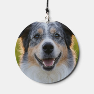 Add Pet Photo Customize Wind Chime