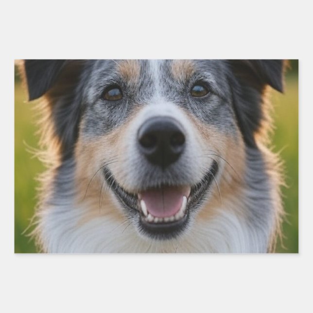 Add Pet Photo Customize Wrapping Paper Sheets (Front)