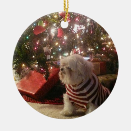 Add pet photo person Christmas  Tree Ornament Zazzle 