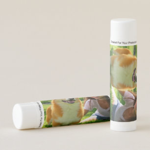 Add Pet Photo Personalize Customize Lip Balm