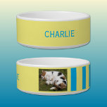 Add photo and name blue and yellow bowl<br><div class="desc">Pet bowl / cat / dog
Add a name and a photo.
Blue and yellow with stripes.</div>