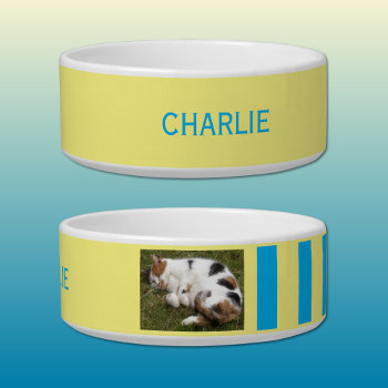 Add Photo And Name Blue And Yellow Bowl by LynnroseDesigns at Zazzle