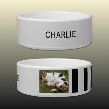 Add Photo And Name Grey And Black Bowl by LynnroseDesigns at Zazzle
