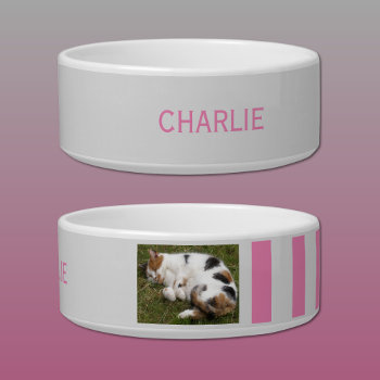 Add Photo And Name Grey And Pink Bowl by LynnroseDesigns at Zazzle