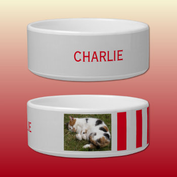 Add Photo And Name Grey And Red Bowl by LynnroseDesigns at Zazzle