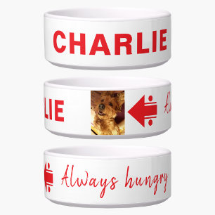 Add photo and name hungry red white dog bowl