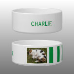 Add photo and name white and green bowl<br><div class="desc">Pet bowl / cat / dog
Add a name and a photo.
Green and white with stripes.</div>