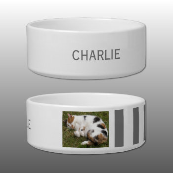 Add Photo And Name White And Grey Bowl by LynnroseDesigns at Zazzle