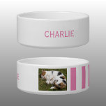 Add photo and name white and pink bowl<br><div class="desc">Pet bowl / cat / dog
Add a name and a photo.
Pink and white with stripes.</div>