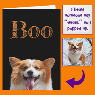 Add photo! Fun Cute Peek-a-Boo Corgi Dog Halloween Card