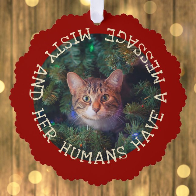  Add Photo Funny Christmas Cat Keepsake Yearly Pet Ornament Card (Creator Uploaded)