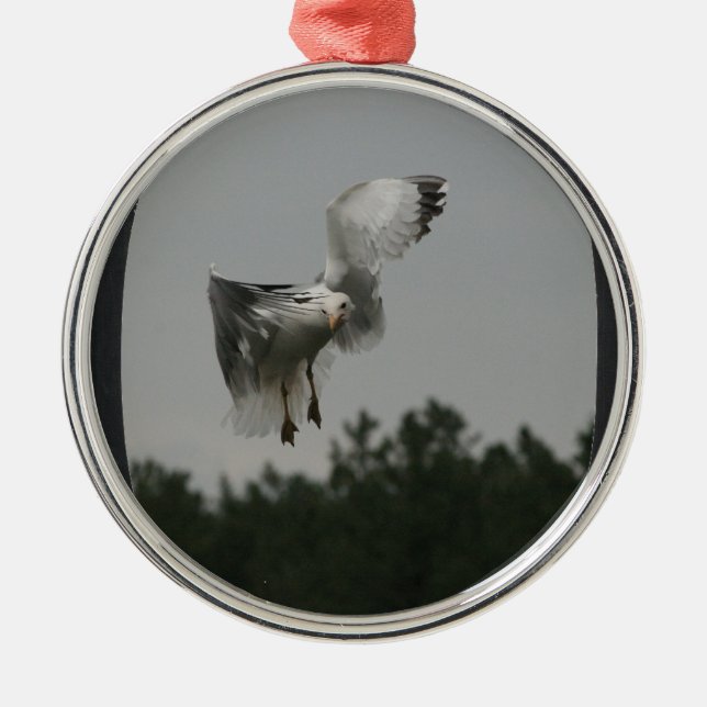 Add Photo Large Oval Frame(black) Metal Ornament (Front)