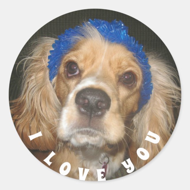 Add Photo Love You Classic Round Sticker (Front)