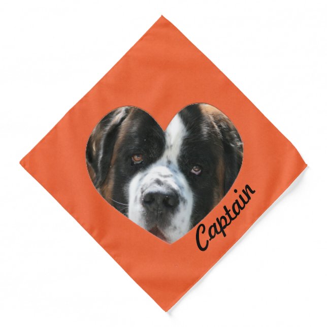 Add Photo Orange Heart Memorial Frame  Bandana (Front)
