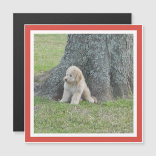 Add Photo to Square Template Red Orange Magnet