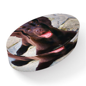 Add Photo Unique One Of A Kind Personalized Paperweight
