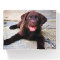 Add Photo Unique One Of A Kind Personalized