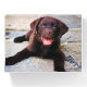Add Photo Unique One Of A Kind Personalized