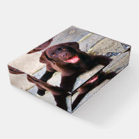 Add Photo Unique One Of A Kind Personalized