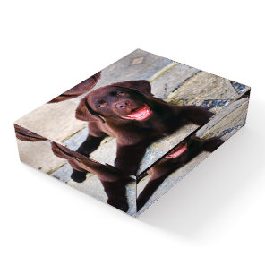 Add Photo Unique One Of A Kind Personalized Paperweight