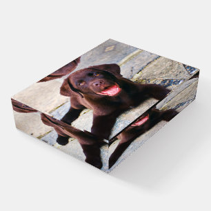 Add Photo Unique One Of A Kind Personalized Paperweight