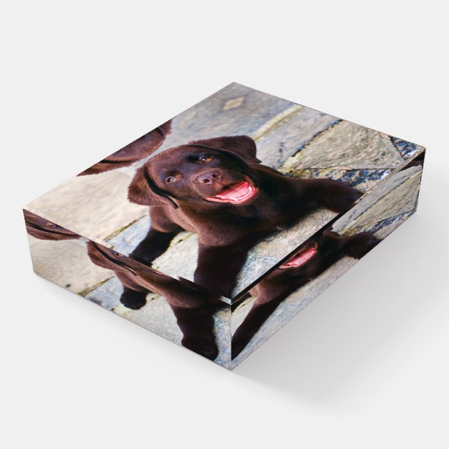 Add Photo Unique One Of A Kind Personalized Paperweight (Angled)