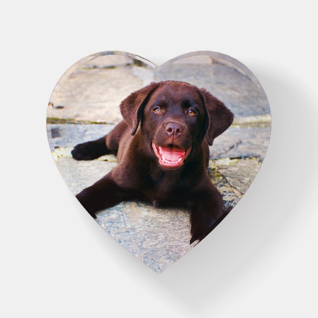 Add Photo Unique One Of A Kind Personalized Paperweight (Front)