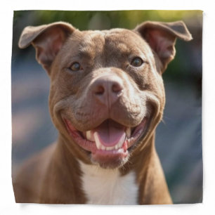Add Pit Bull Photo Customize Bandana