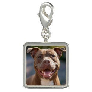Add Pit Bull Photo Customize Charm