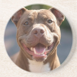 Add Pit Bull Photo Customize Coaster