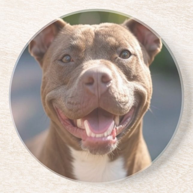 Add Pit Bull Photo Customize Coaster (Front)