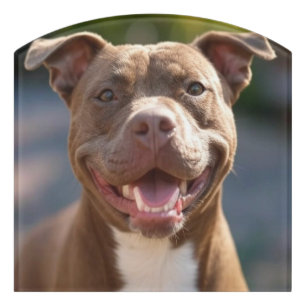 Add Pit Bull Photo Customize Door Sign