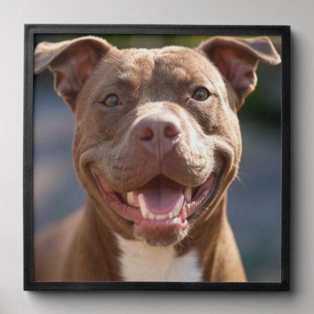 Add Pit Bull Photo Customize Peel And Stick Photo Tile (Front Set)