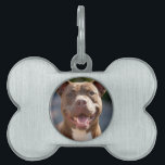 Add Pit Bull Photo Customize Pet ID Tag<br><div class="desc">Add Pit Bull Photo Customize,  Pit Bull,  Personalize,  Customize,  Photo,  generativecontent</div>