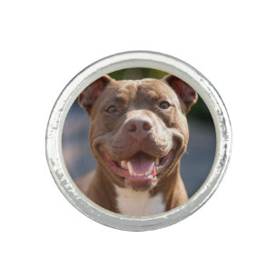Add Pit Bull Photo Customize Ring