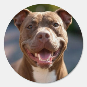 Add Pit Bull Photo Customize Sign