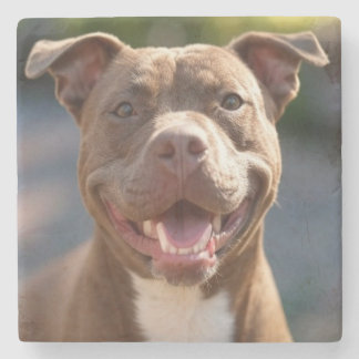 Add Pit Bull Photo Customize Stone Coaster