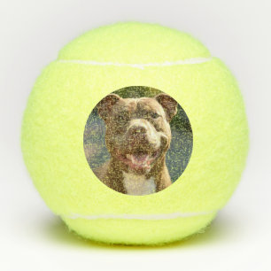 Add Pit Bull Photo Customize Tennis Balls