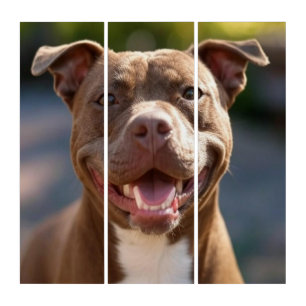 Add Pit Bull Photo Customize Triptych