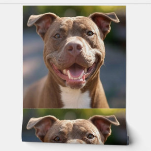 Add Pit Bull Photo Customize Wallpaper