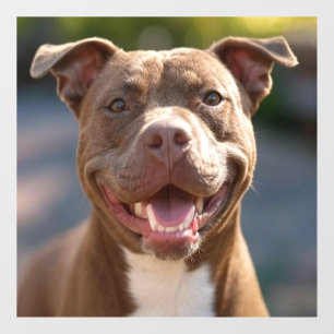 Add Pit Bull Photo Customize Window Cling