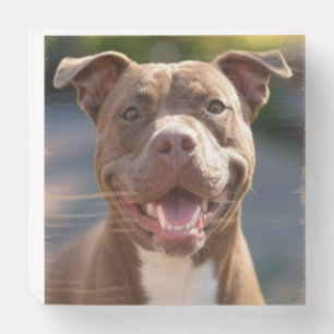 Add Pit Bull Photo Customize Wooden Box Sign