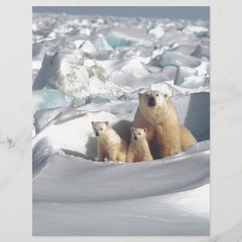 Add SLOGAN to Save Arctic Polar Bears Planet Ice