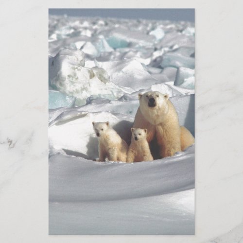 Add SLOGAN to Save Arctic Polar Bears Planet Ice
