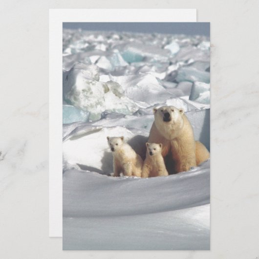Add SLOGAN to Save Arctic Polar Bears Planet Ice (Front/Back)