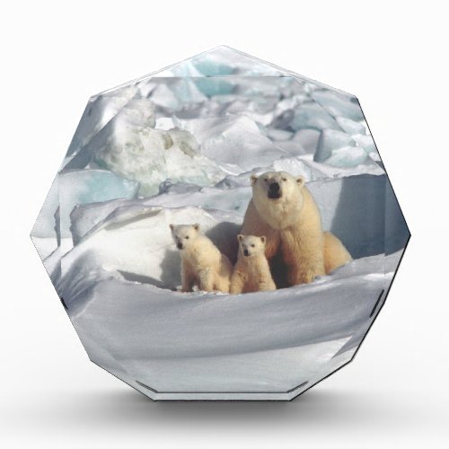 Add SLOGAN to Save Arctic Polar Bears Planet Ice Acrylic Award