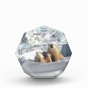 Add SLOGAN to Save Arctic Polar Bears Planet Ice Award