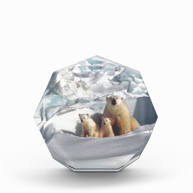 Add SLOGAN to Save Arctic Polar Bears Planet Ice Award (Front)