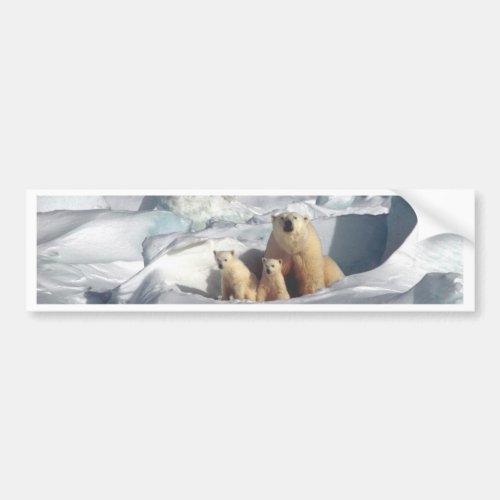 Add SLOGAN to Save Arctic Polar Bears Planet Ice Bumper Sticker