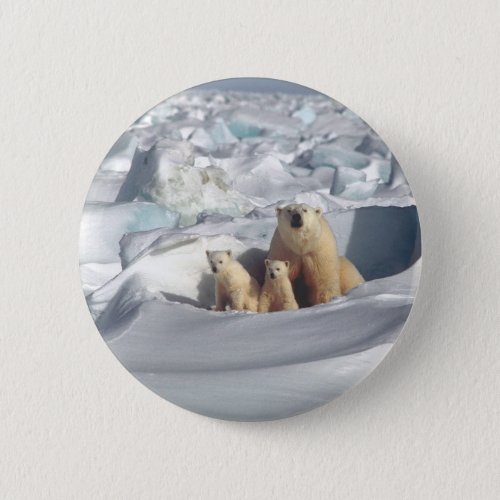 Add SLOGAN to Save Arctic Polar Bears Planet Ice Button